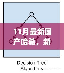 新哈希算法下的暖心日常，友情、家庭与爱的纽带（11月最新国产哈希分享）