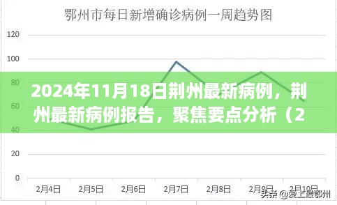 荆州最新病例报告及分析（2024年11月18日更新）