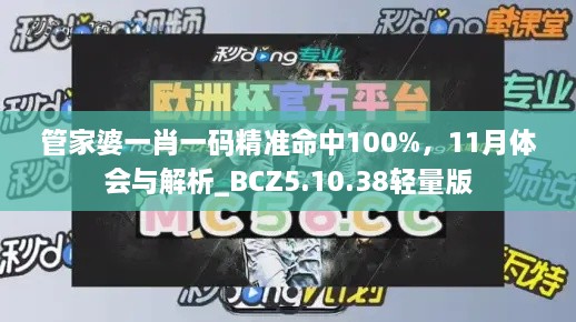 管家婆一肖一码精准命中100%，11月体会与解析_BCZ5.10.38轻量版