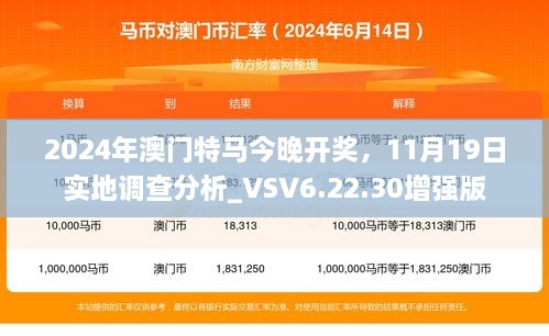 2024年澳门特马今晚开奖，11月19日实地调查分析_VSV6.22.30增强版