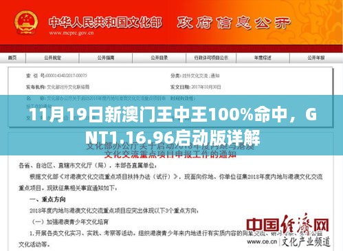 11月19日新澳门王中王100%命中，GNT1.16.96启动版详解