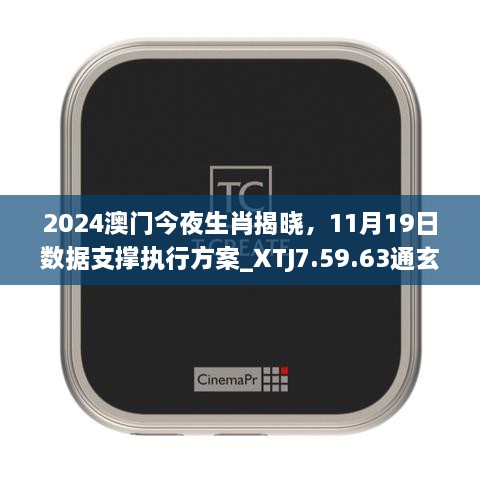 2024澳门今夜生肖揭晓，11月19日数据支撑执行方案_XTJ7.59.63通玄境