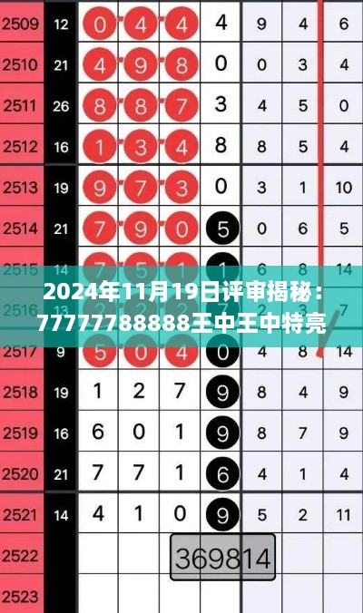 2024年11月19日评审揭秘：77777788888王中王中特亮点与解答详解_REY5.30.89珍藏版