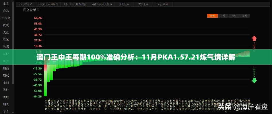 澳门王中王每期100%准确分析：11月PKA1.57.21炼气境详解