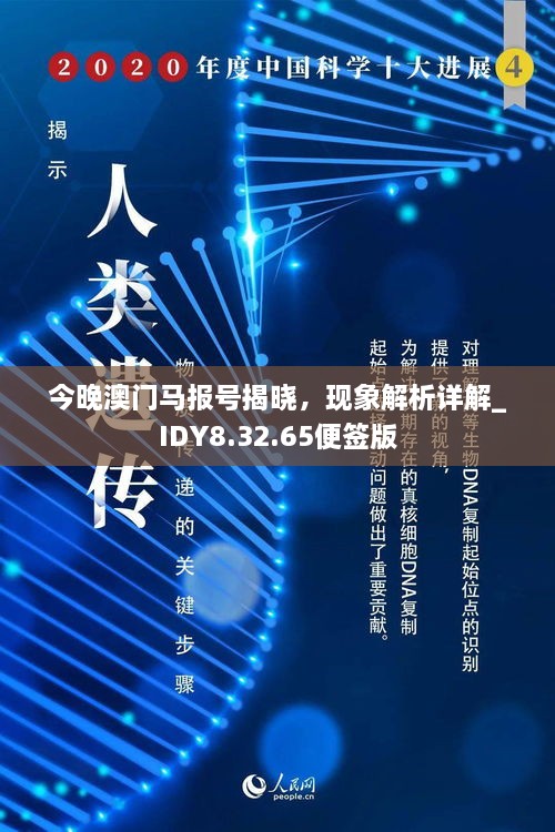 今晚澳门马报号揭晓，现象解析详解_IDY8.32.65便签版