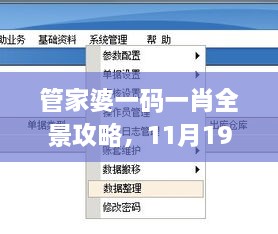 管家婆一码一肖全景攻略，11月19日实地计划设计验证_JSA8.44.26理想版