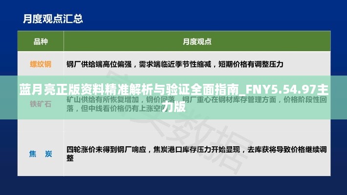 蓝月亮正版资料精准解析与验证全面指南_FNY5.54.97主力版