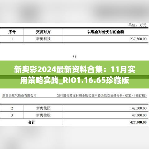 新奥彩2024最新资料合集：11月实用策略实践_RIO1.16.65珍藏版