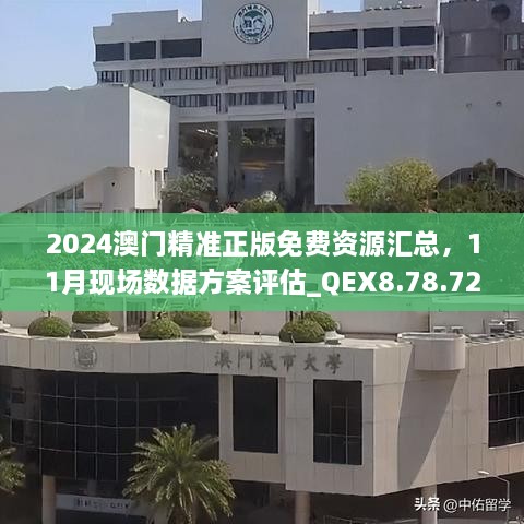 2024年11月19日 第130页