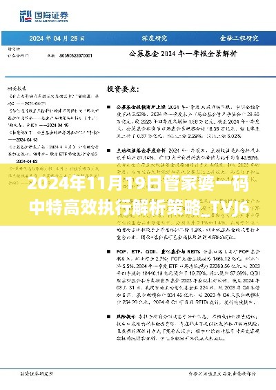 2024年11月19日管家婆一码中特高效执行解析策略_TVJ6.71.67并行版