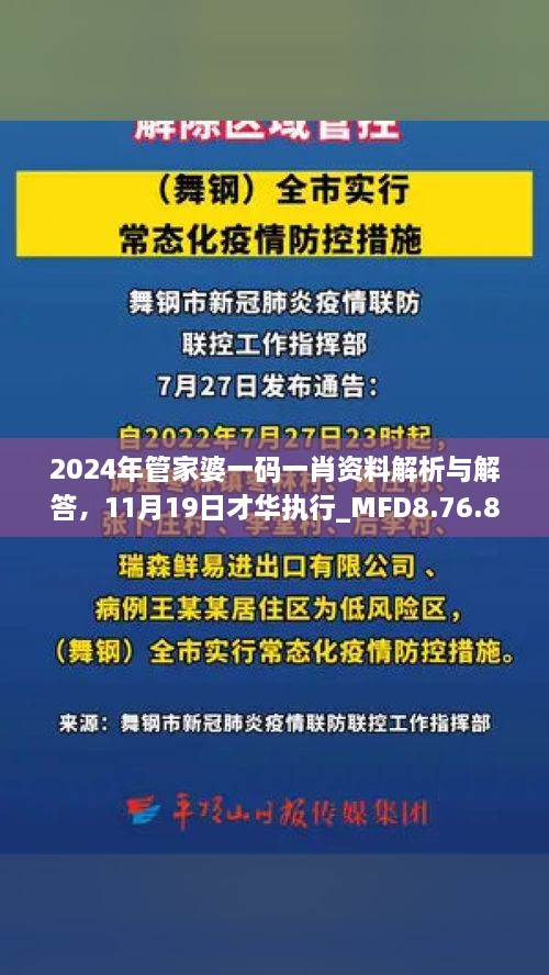 2024年管家婆一码一肖资料解析与解答，11月19日才华执行_MFD8.76.81加速版