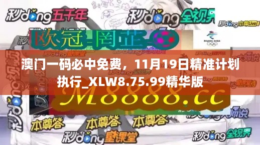 澳门一码必中免费，11月19日精准计划执行_XLW8.75.99精华版