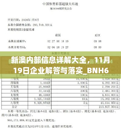 新澳内部信息详解大全，11月19日企业解答与落实_BNH6.37.71零障碍版