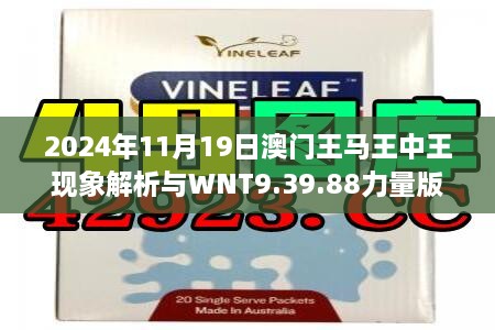 2024年11月19日澳门王马王中王现象解析与WNT9.39.88力量版解读