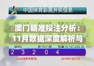 澳门精准投注分析：11月数据深度解析与VAE3.74.27无线版设计