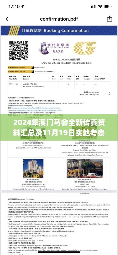 2024年澳门马会全新传真资料汇总及11月19日实地考察计划_VLC6.12.98媒体版