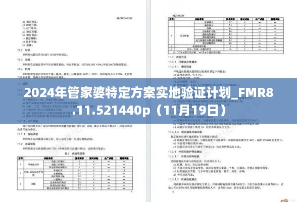 2024年管家婆特定方案实地验证计划_FMR8.11.521440p（11月19日）