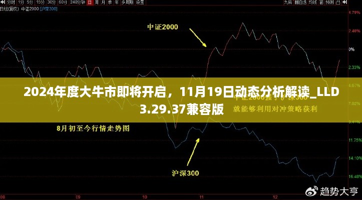 2024年度大牛市即将开启，11月19日动态分析解读_LLD3.29.37兼容版