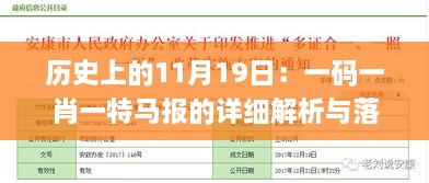 历史上的11月19日：一码一肖一特马报的详细解析与落实_UDP2.24.83结合版