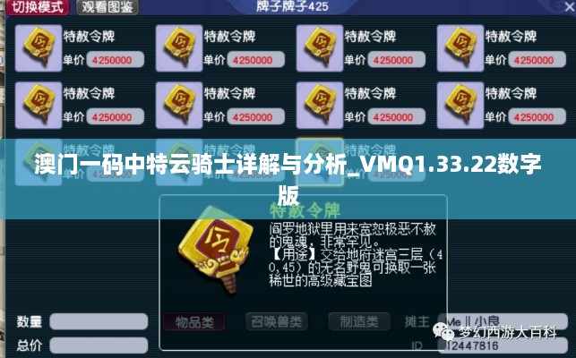 澳门一码中特云骑士详解与分析_VMQ1.33.22数字版