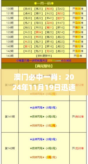 澳门必中一肖：2024年11月19日迅速实施调整方案_KEC8.65.56未来科技版