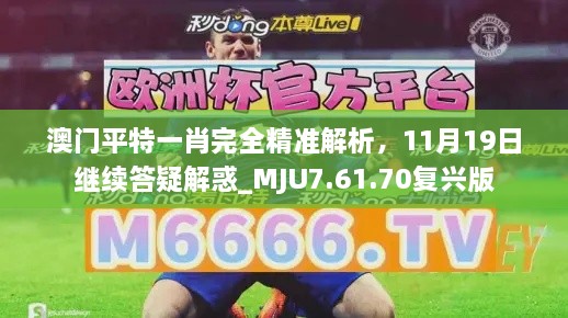 澳门平特一肖完全精准解析，11月19日继续答疑解惑_MJU7.61.70复兴版