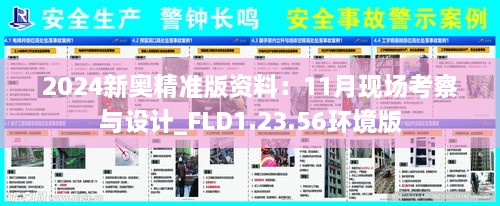 2024新奥精准版资料：11月现场考察与设计_FLD1.23.56环境版