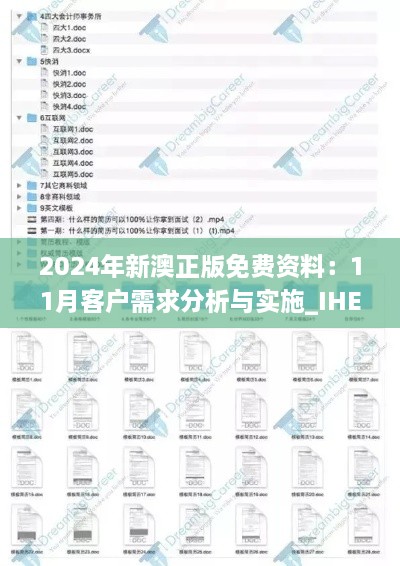 2024年新澳正版免费资料：11月客户需求分析与实施_IHE7.27.64高配版