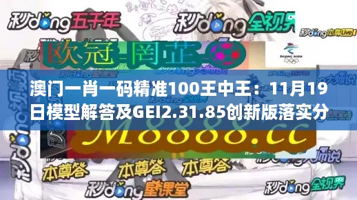 澳门一肖一码精准100王中王：11月19日模型解答及GEI2.31.85创新版落实分析