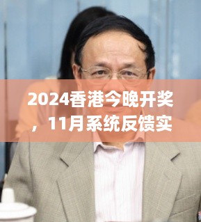 2024香港今晚开奖，11月系统反馈实施评估_VCH5.34.91文化版