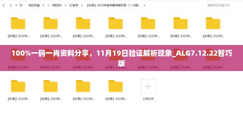 100%一码一肖资料分享，11月19日验证解析现象_ALG7.12.22智巧版