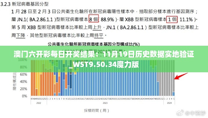 澳门六开彩每日开奖结果：11月19日历史数据实地验证_WST9.50.34魔力版