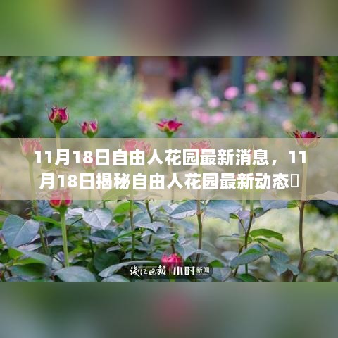 揭秘自由人花园最新动态，最新消息一览（11月18日）