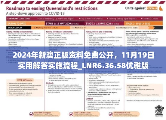 2024年新澳正版资料免费公开，11月19日实用解答实施流程_LNR6.36.58优雅版