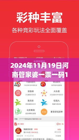 2024年11月19日河南管家婆一票一码100%准确专营解答与落实_HXJ1.17.93炼肉境