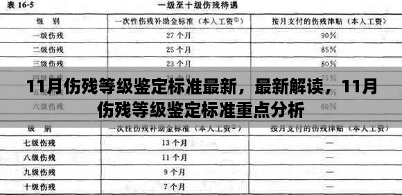 最新解读与重点分析，11月伤残等级鉴定标准详解