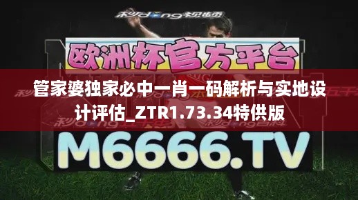 管家婆独家必中一肖一码解析与实地设计评估_ZTR1.73.34特供版