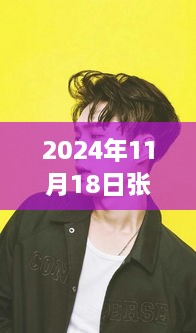 2024年11月18日张艺兴壁纸最新图片，张艺兴壁纸新风尚，2024年11月18日图片背后的流行文化探讨