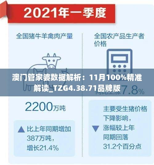 澳门管家婆数据解析：11月100%精准解读_TZG4.38.71品牌版