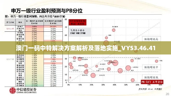 澳门一码中特解决方案解析及落地实施_VYS3.46.41