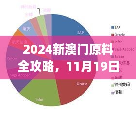 2024新澳门原料全攻略，11月19日专职解析实施_LXC6.23.35L版