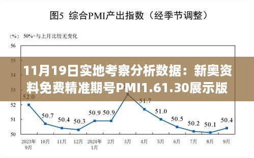 11月19日实地考察分析数据：新奥资料免费精准期号PMI1.61.30展示版