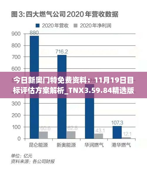 今日新奥门特免费资料：11月19日目标评估方案解析_TNX3.59.84精选版