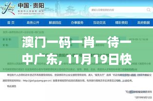 澳门一码一肖一待一中广东, 11月19日快速响应执行_SVV3.11.24速达版