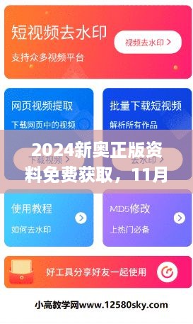 2024新奥正版资料免费获取，11月19日全面评估解答及步骤解析_WUF1.60.91计算能力版