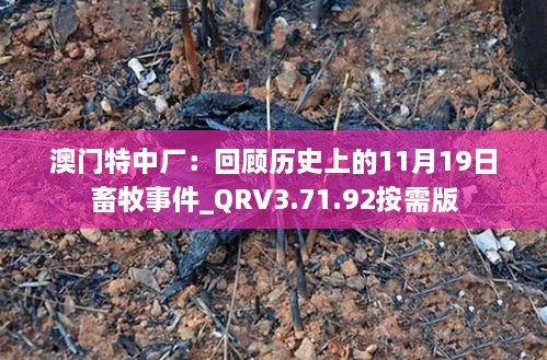 澳门特中厂：回顾历史上的11月19日畜牧事件_QRV3.71.92按需版