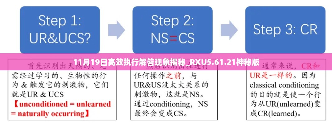 11月19日高效执行解答现象揭秘_RXU5.61.21神秘版