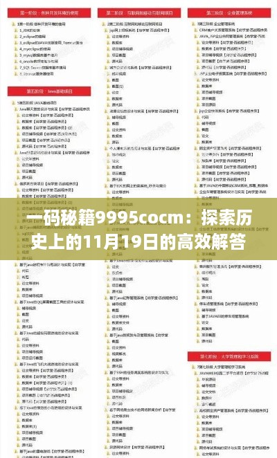 一码秘籍9995cocm：探索历史上的11月19日的高效解答策略_JYB2.46.73展示版