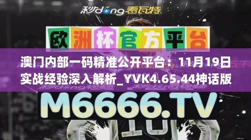 澳门内部一码精准公开平台：11月19日实战经验深入解析_YVK4.65.44神话版