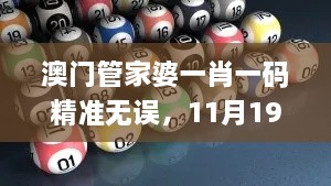 澳门管家婆一肖一码精准无误，11月19日即时响应实施方案_QAJ6.15.29旅行者特别版